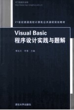 Visual Basic程序设计实践与题解