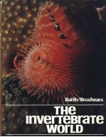 THE INVERTEBRATE WORLD