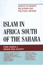 ISLAM IN AFRICA SOUTH OF THE SAHARA  ESSYS IN GENDER RELATIONS AND POLITICAL REFORM