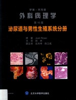 罗塞阿克曼外科病理学  泌尿道与男性生殖系统分册  第10版