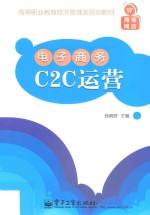 电子商务C2C运行