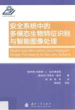 安全系统中的多模态生物特征识别与智能图像处理