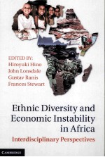 ETHNIC DIVERSITY AND ECONOMIC INSTABILITY IN AFRICA  INTERDISCIPLINARY PERSPECTIVES