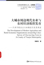 大城市周边现代农业与农村经济组织发育  天津市蓟县出头岭镇经济发展调查