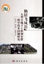 仙居飞凤岩大型古地下工程洞室群科学技术问题研究