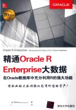 精通Oracle R Enterprise大数据  在Oracle数据库中充分利用R的强大功能