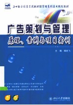 广告策划与管理原理、案例与项目实例