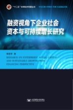 融资视角下企业社会资本与可持续增长研究