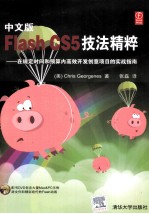 中文版Flash CS5技法精粹  在规定时间和预算内高效开发创意项目的实战指南