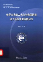 世界市场的二元化与我国跨境电子商务发展策略研究