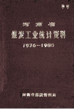 河南省煤炭工业统计资料  1976-1980