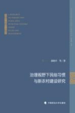 治理视野下民俗习惯与新农村建设研究