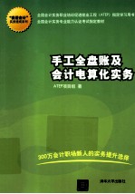 手工全盘账及会计电算化实务