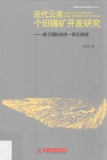 近代云南个旧锡矿开发研究  基于国际经济一体化视域