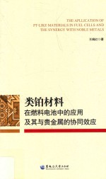 类铂材料在燃料电池中的应用及其与贵金属的协同效应