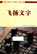 中国大百科全书  普及版  中国文学卷  飞扬文字