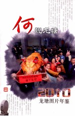 何说龙塘  2010龙塘图片年鉴