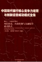 中国现代银行核心竞争力培育与创新运营成功模式全集  模式二  中国现代银行风险防范、内部控制与金融监管成功模式  第4册