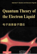 QUANTUM THEORY OF THE ELECTRON LIQUID