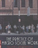 THE PRACTICE OF MACRO SOCIAL WORK