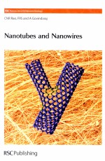 NANOTUBES AND NANOWIRES