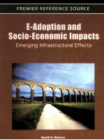 E-Adoption and Socio-Economic Impacts:Emerging Infrastructural Effects