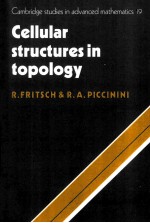 Cellular Structures in Topology