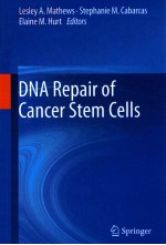 DNA REPAIR OF CANCER STEM CELLS