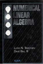 NUMERICAL LINEAR ALGEBRA