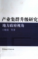 产业集群升级研究地方政府视角