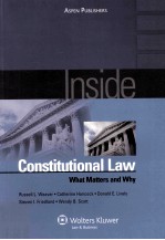 INSIDE CONSTITUTIONAL LAW  WHAT MATTERS AND WHY