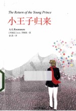 小王子归来  插图版