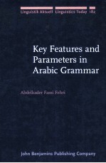 key features and parameters in arabic grammar