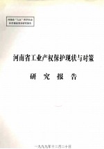 河南省工业产权保护现状与对策研究报告