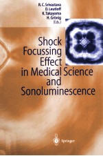 Shock Focussing Effect in Medical Science and Sonoluminescence