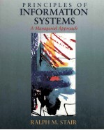 PRINCIPLES OF  INFORMATION SYSTEMS  A MANAGERIAL APPROACH