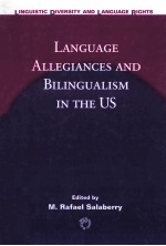 Language Allegiances and Bilingualism in the US