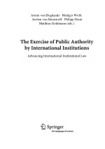 THE EXERCISE OF PUBLIC AUTHORITY BY INTERNATIONAL INSITITUTIONS:ADVANCING INTERNATIONAL INSITUTIONAL