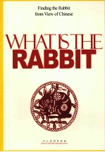 WHAT IS THE RABBIT  FINDING THE RABBIT FROM VIEW OF CHINESE