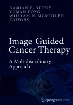 image-guided cancer therapy a multidisciplinary approach