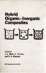 HYBRID ORGANIC-INORGANIC COMPOSITES