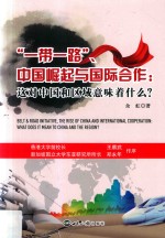 “一带一路”、中国崛起与国际合作  这对中国和区域意味着什么？