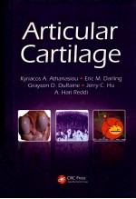 articular cartilage