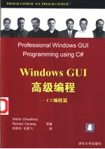 Professional Windows GUI Programming using C#