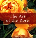 THE ART OF THE ROSE