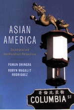 asian americasociological and interdisciplinary perspectives