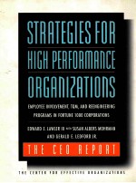 STRATEGIES FOR HIGH PERFORMANCE ORGANIZATIONS  THE CEO REPORT