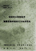 促进非公有制经济健康发展的政府行为体系研究