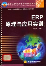 ERP原理与应用实训