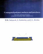 CONJUGATED POLYMER SURFACES AND INTERFACES